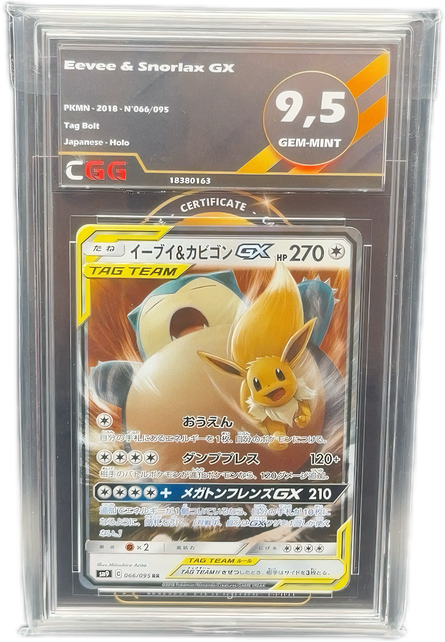 Evoli Ronflex GX - Tag Team